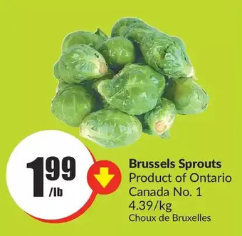 FreshCo Brussels sprouts offer
