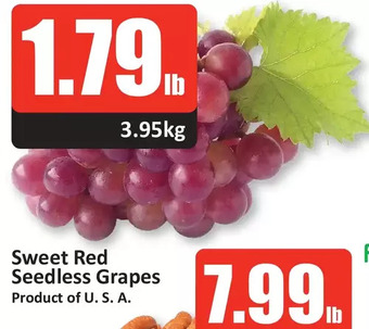 Starsky Sweet red seedless grapes offer