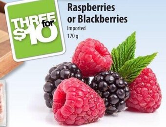 Co-op Raspberries Or Blackberries 170g offer