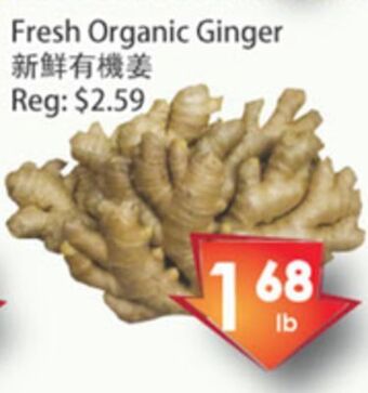 Fresh Palace Supermarket Fresh organic ginger offer