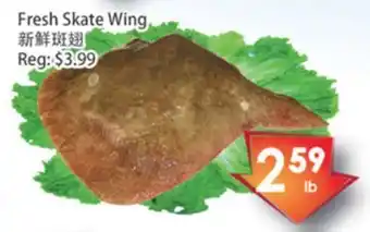 Fresh skate wing
