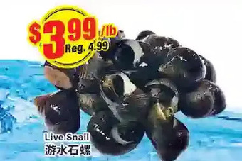 Btrust Supermarket Live snail offer