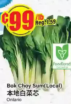 Btrust Supermarket Bok choy sum offer