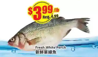 Btrust Supermarket Fresh white perch offer