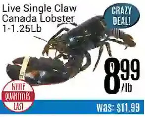 Nations Fresh Foods Live single claw canada lobster offer