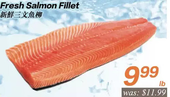 Seasons Foodmart Fresh salmon fillet offer