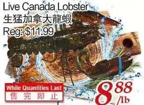 Tone Tai Supermarket Live canada lobster offer