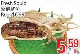 Hong Tai Supermarket Fresh squid offer