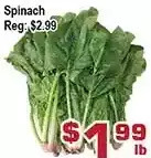 Top Food Supermarket Spinach offer