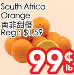 Superking Supermarket South africa orange offer