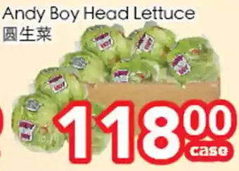 Superking Supermarket Andy boy head lettuce offer