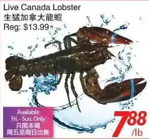 Foody World Live canadian lobster offer