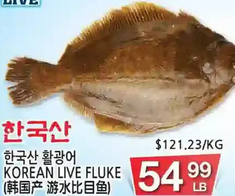 H-Mart Korean live fluke offer