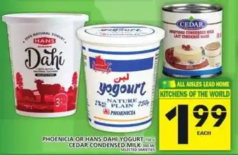 Food Basics Phoenicia or hans dahi yogurt offer