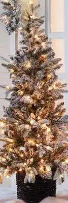 Bed Bath & Beyond Bee & willow™ 5-foot flocked pre-lit artificial christmas tree with clear lights offer