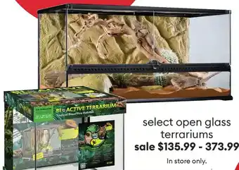 Petsmart Select open glass terrariums offer