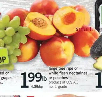 Fortinos Large Tree Ripe Or White Flesh Nectarines Or Peaches offer