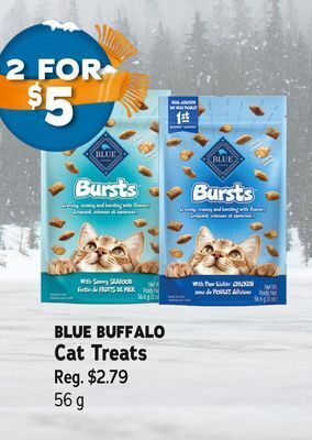 Ren’s Pets Depot Blue buffalo cat treats offer