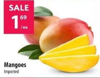 Co-op Mangoes offer