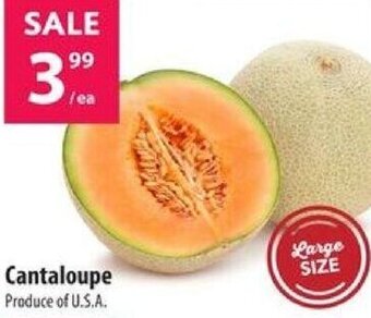 Co-op Cantaloupe offer