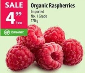 Co-op Organic Raspberries 170g offer