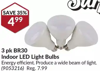Princess Auto 3 pk br30 indoor led light bulbs offer
