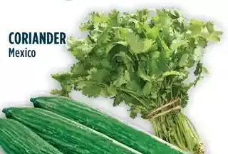 Marché Adonis Coriander offer