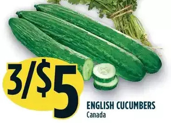 Marché Adonis English cucumbers offer