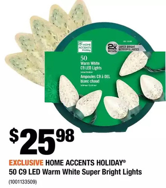 Home Depot Home accents holiday 50 c9 led warm white super bright lights offer