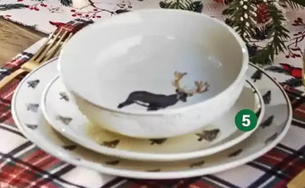 Giant Tiger 2-pack side plates offer