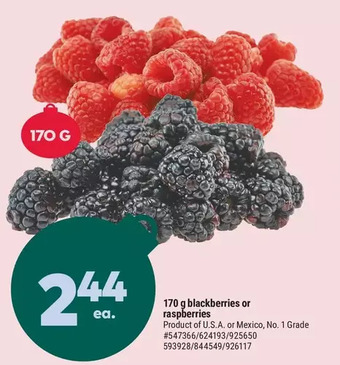 Giant Tiger 170 g blackberries offer