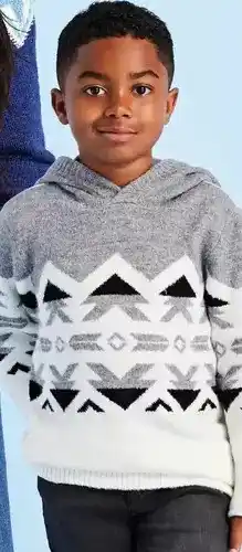 Giant Tiger Boys hooded sweater offer