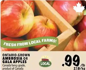 Farm Boy Ontario-grown ambrosia or gala apples offer