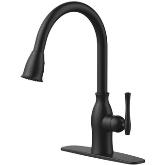 Canadian Tire Lisa 1-handle offer