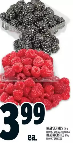 Metro Raspberries | blackberries offer