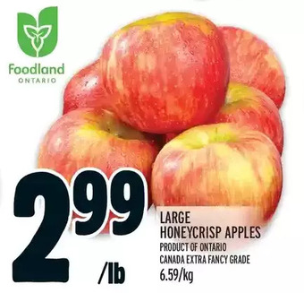 Metro Large honeycrisp apples offer