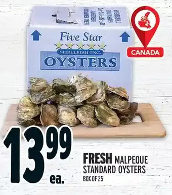 Metro Fresh malpeque standard oysters offer