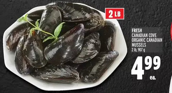 Metro Fresh canadian cove organic canadian mussels offer