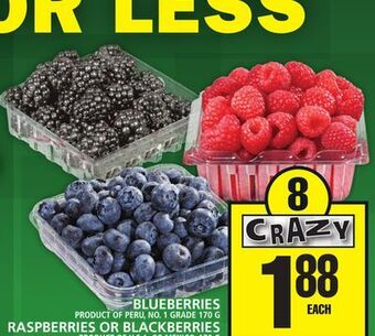 Food Basics Blueberries or raspberries or blackberries offer