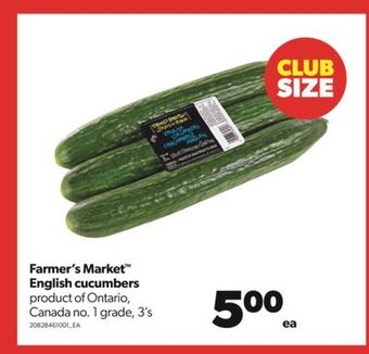 Real Canadian Superstore Farmer's market™ english cucumbers, 3's offer
