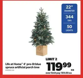 Real Canadian Superstore Life at home™ 4' pre-lit blue spruce artificial porch tree offer