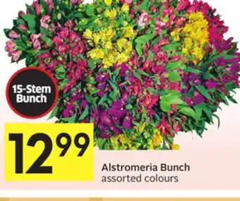 Foodland Alstromeria bunch assorted colours offer