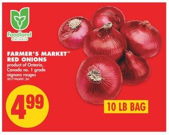 No Frills Farmer's market™ red onions, 10 lb bag offer