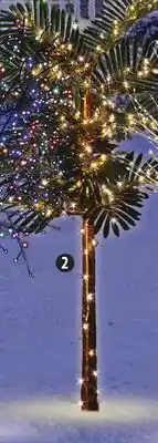 Canadian Tire Canvas 5´9˝ led palm tree offer