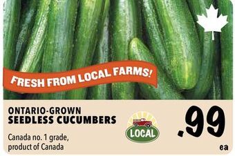Farm Boy Seedless cucumbers offer