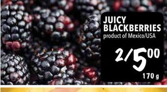 Farm Boy Juicy blackberries offer