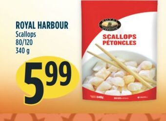 Marché Adonis Royal harbour scallops offer