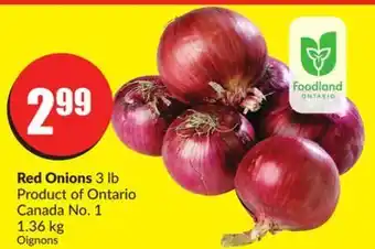 FreshCo Red onions 3 lb product of ontario canada no. 1 offer