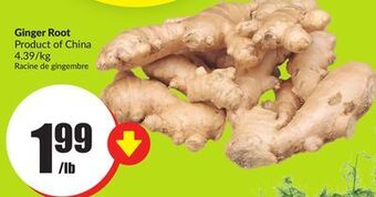FreshCo Ginger root product of china 4.39/kg offer