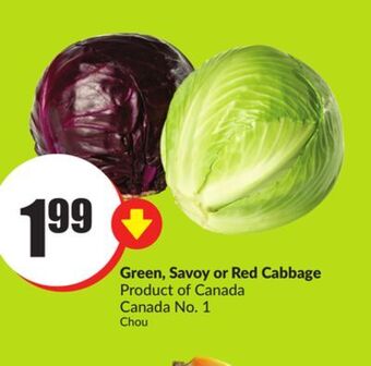 FreshCo Green savoy or red cabbage product of canada canada no 1 offer